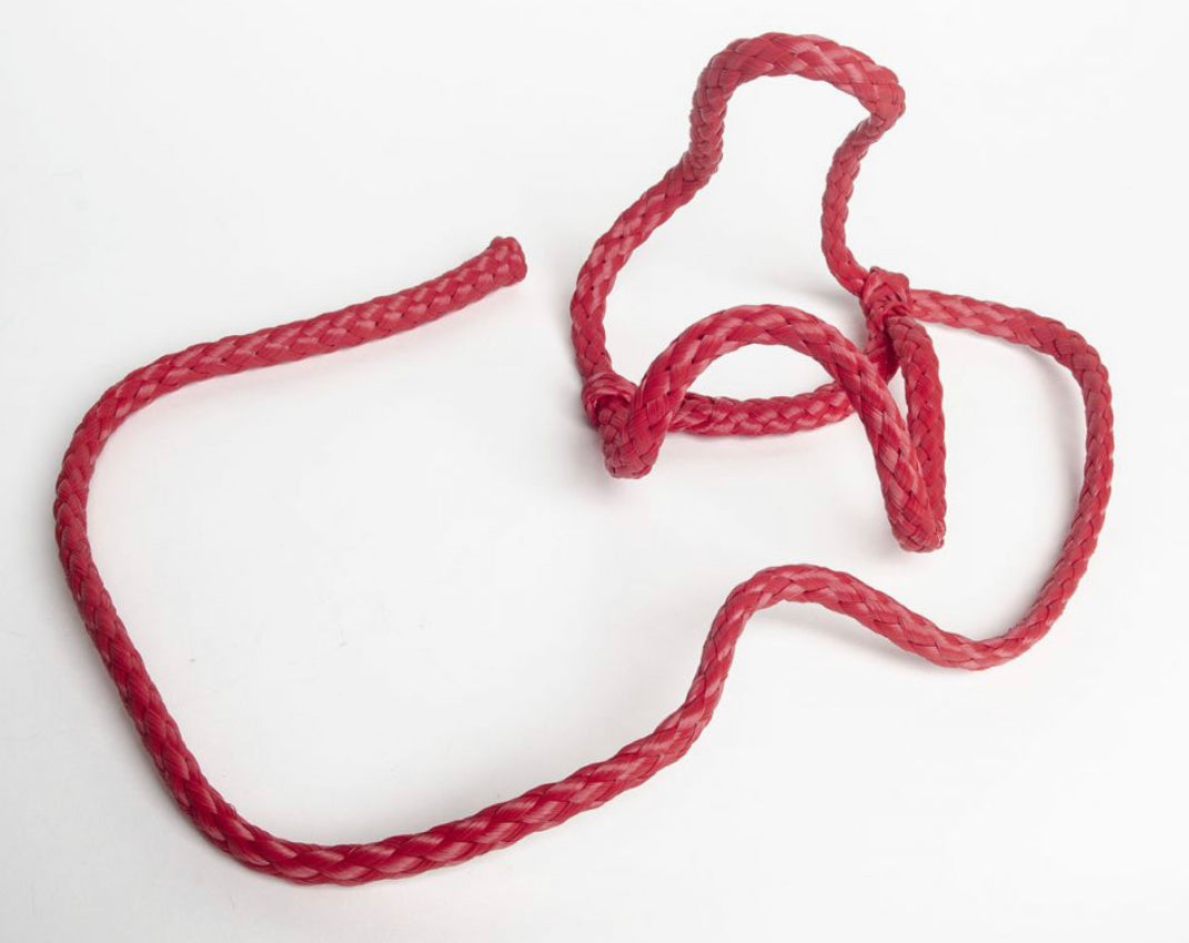 Sullivan Plush Calf Halter