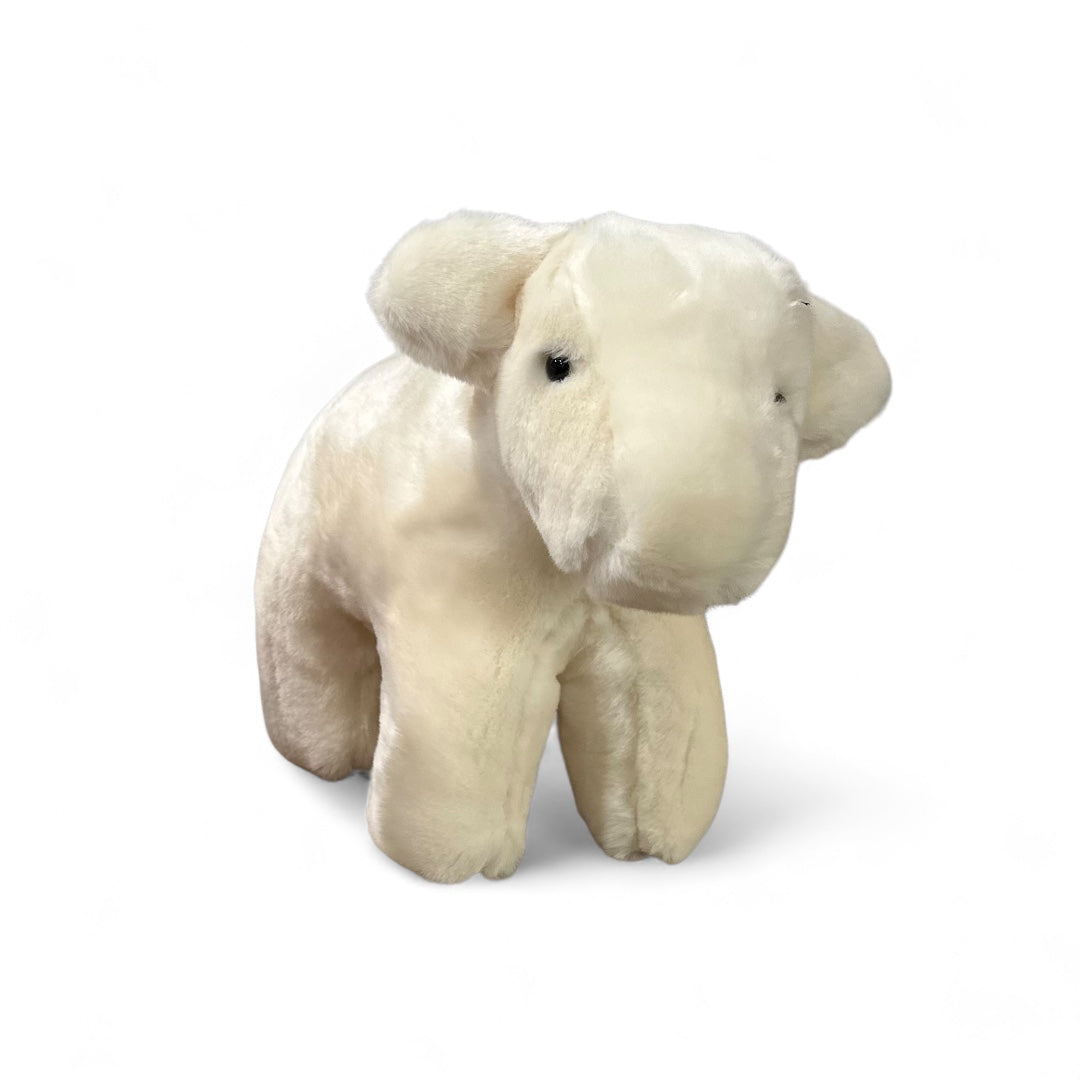 Charolais Medium Calf