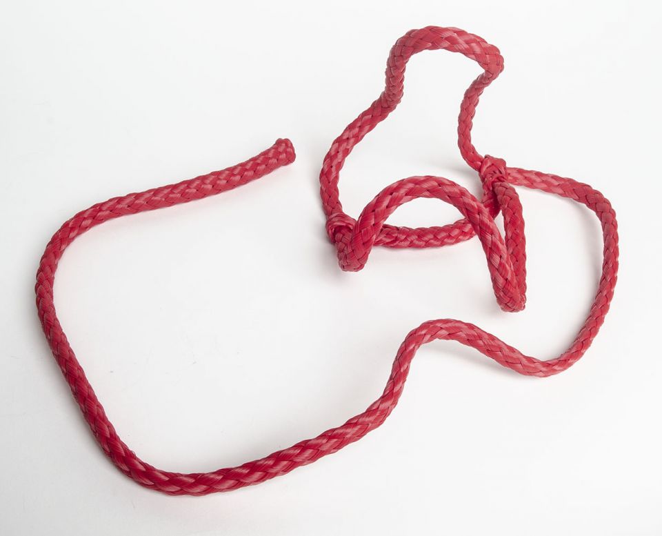 Plush Animal Halter One Size Fits All Red