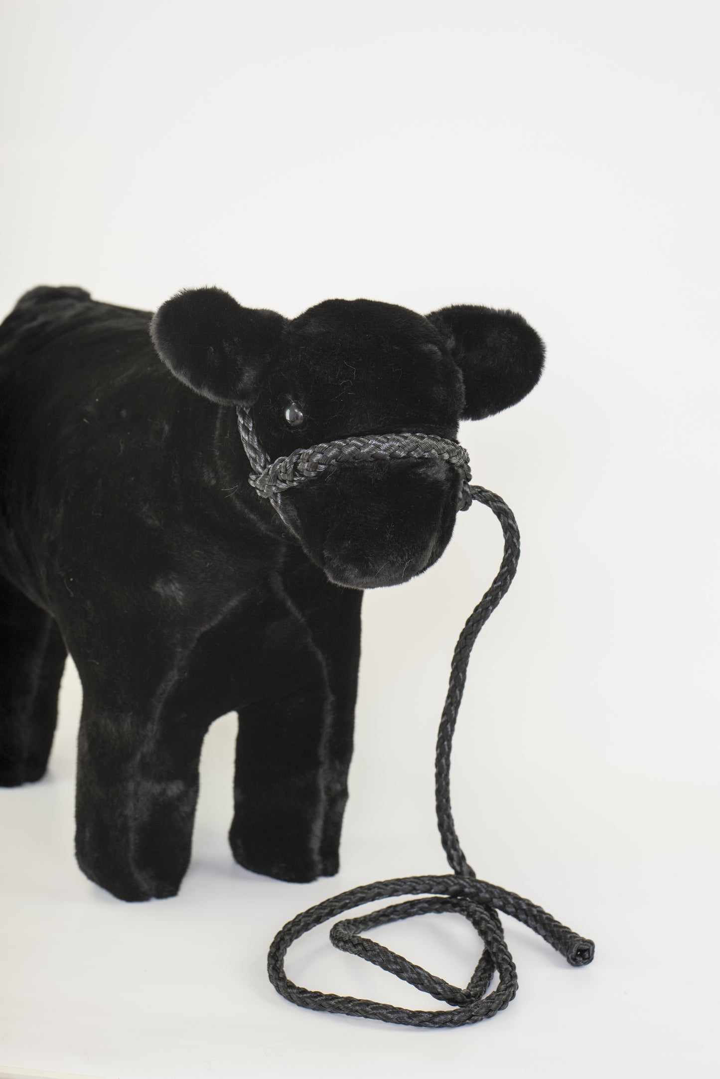 Large Angus Plush
