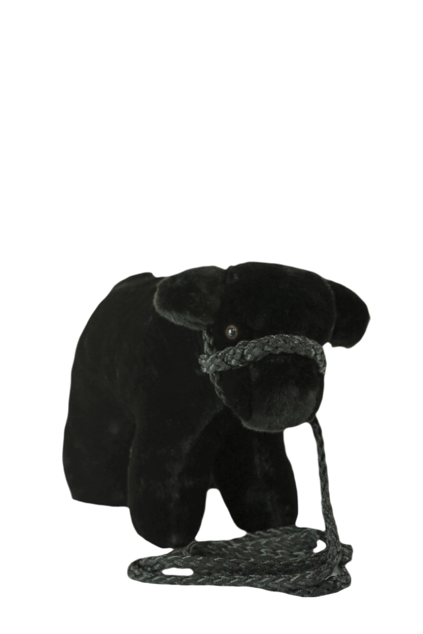 MEDIUM PLUSH ANGUS CALF