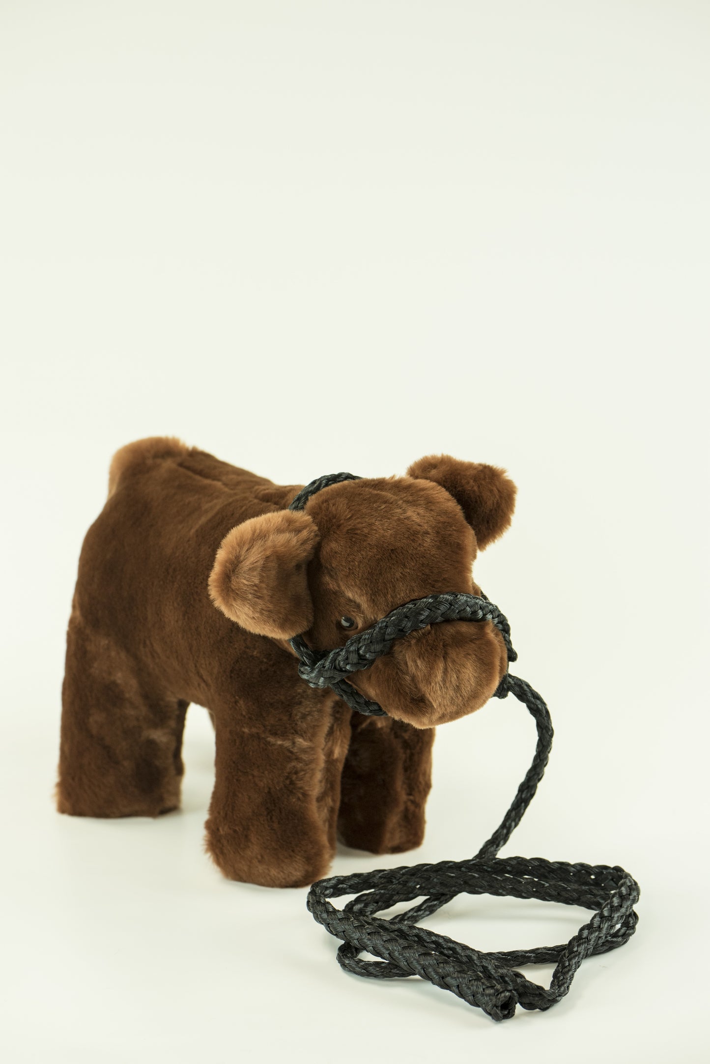 Medium Plush Red Angus Calf