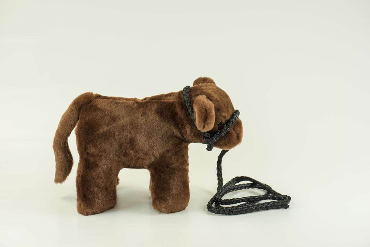 Medium Plush Red Angus Calf