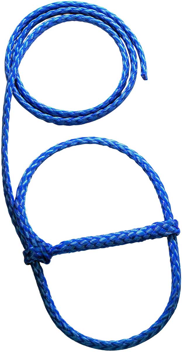 Blue Halter