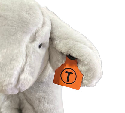 Custom Brand Ear Tags