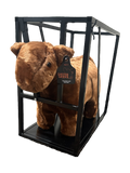 Future Red Angus Showman Set