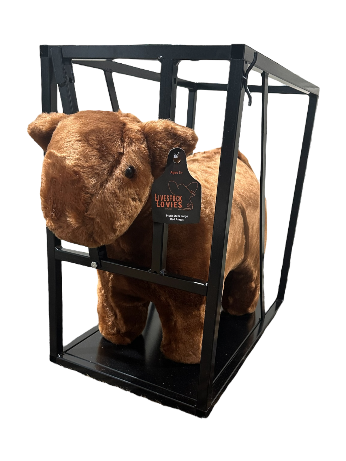 Future Red Angus Showman Set