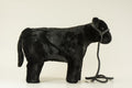 Future Angus Showman set