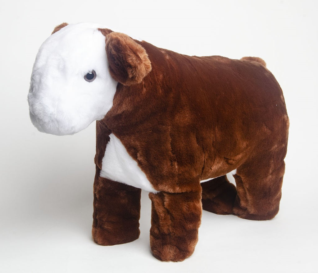Future Hereford Showman Set