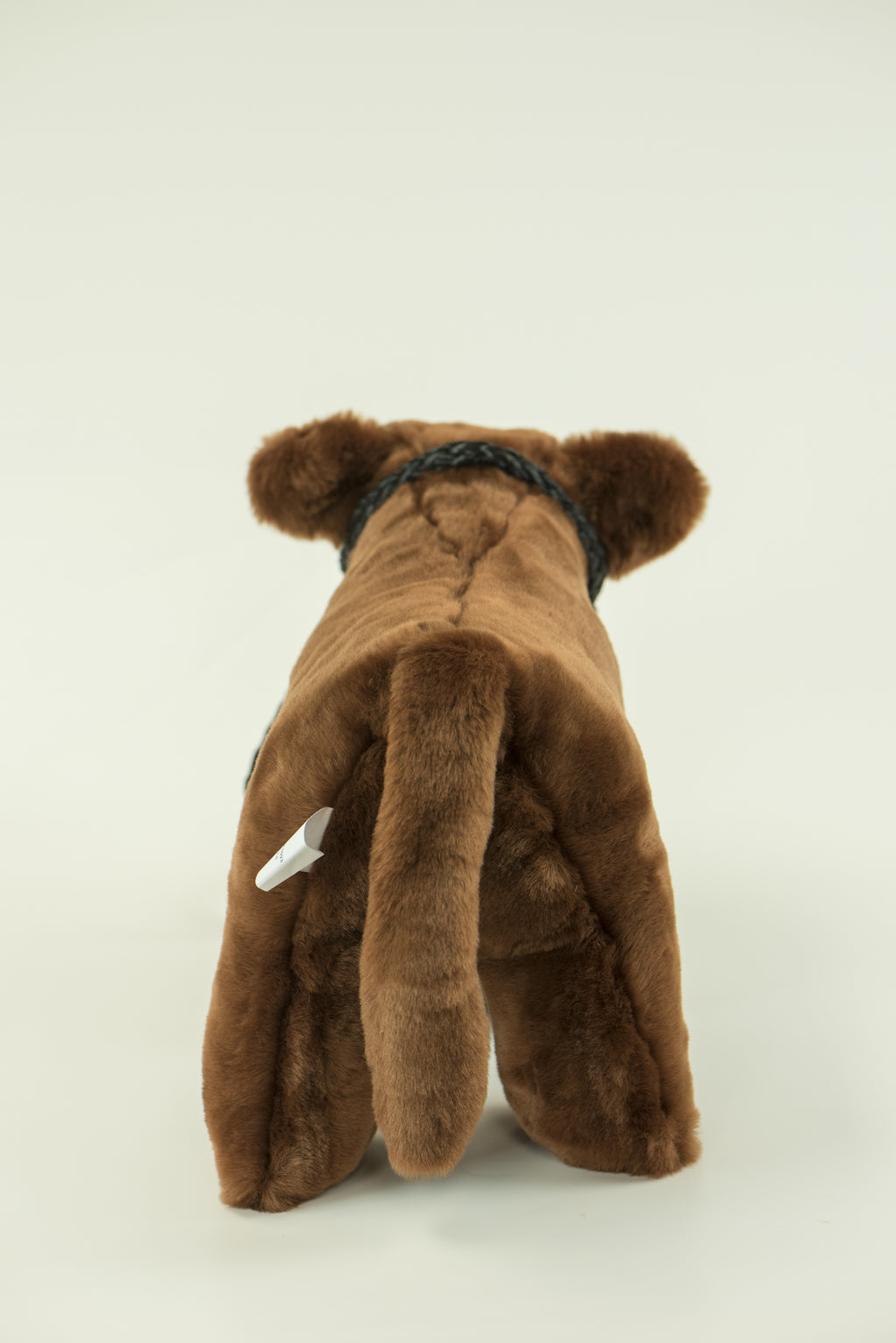 Medium Plush Red Angus Calf