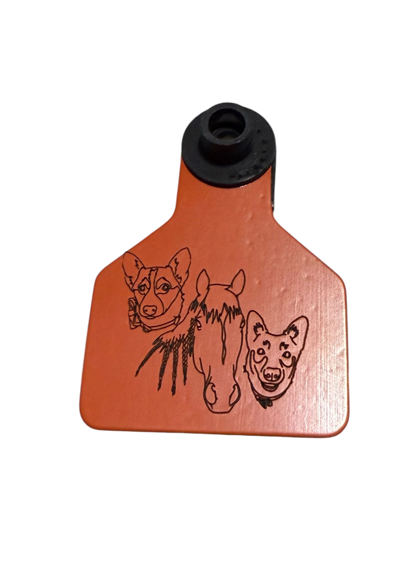 Custom Brand Ear Tags
